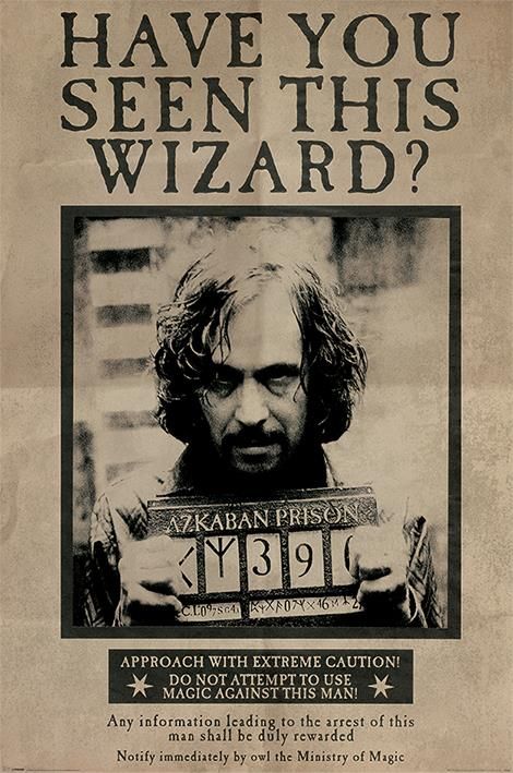 Harry Potter - Wanted Sirius Black Maxi Poster