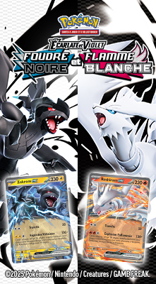 18/07 | Pokemon JCC EV10.5