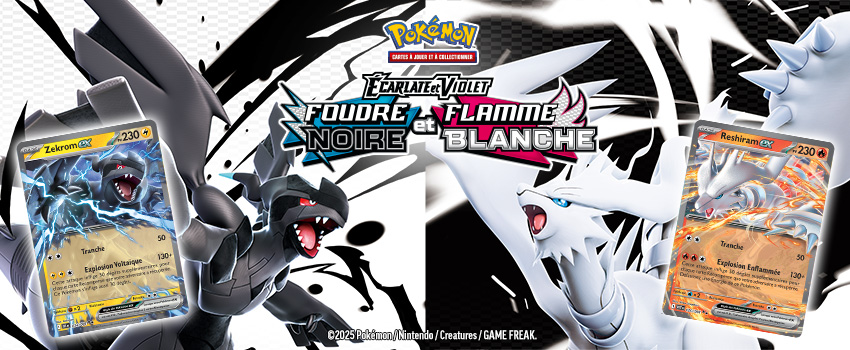 18/07 | Pokemon JCC EV10.5