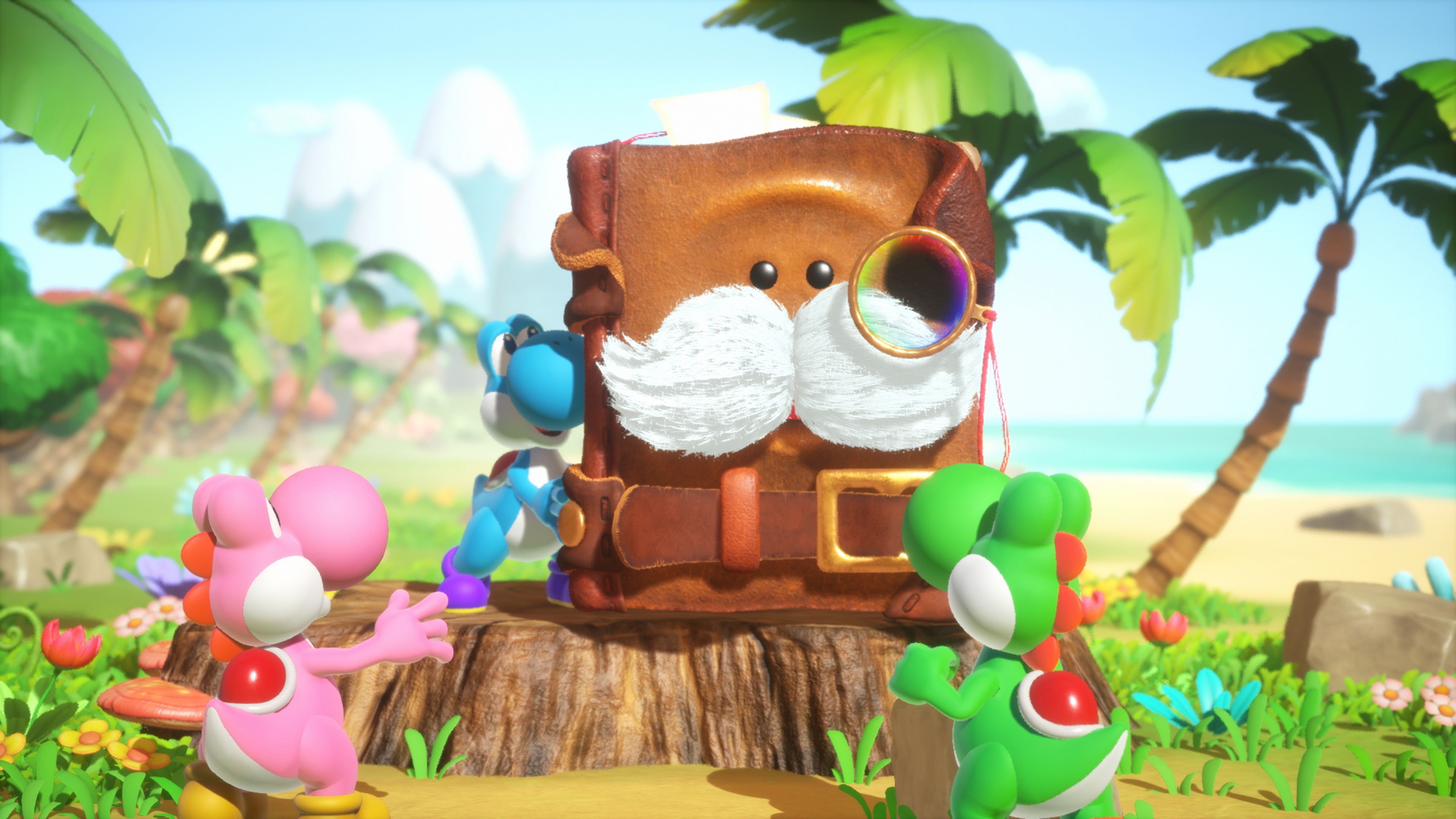 Nintendo Yoshi and the Mysterious Book Standard Nintendo Switch 2