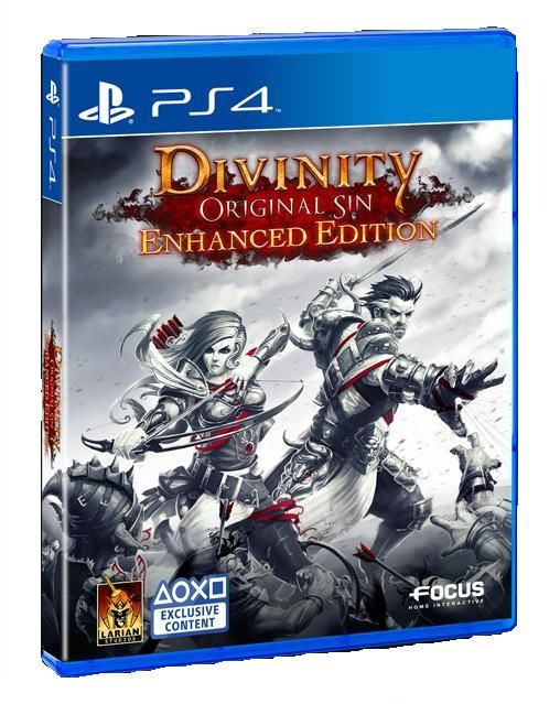 Divinity Original Sin Enhanced Edition