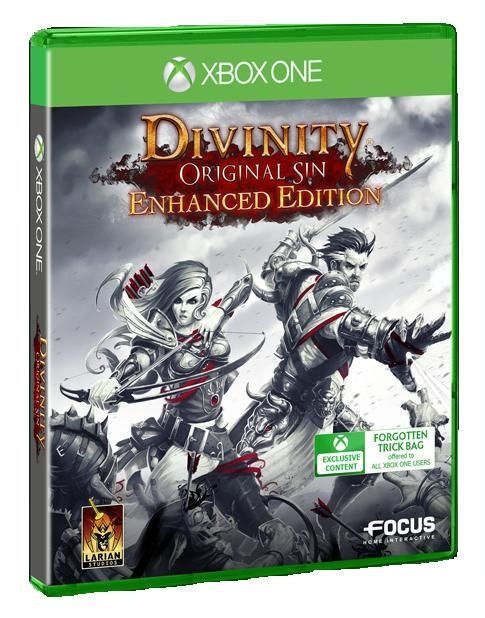 Divinity Original Sin Enhanced Edition