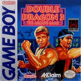 Double Dragon 3 : The Sacred Stones