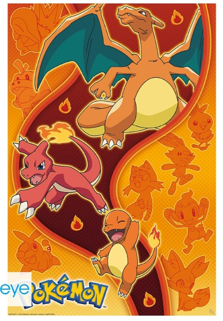 POKEMON - Type feu - Poster 91x61cm