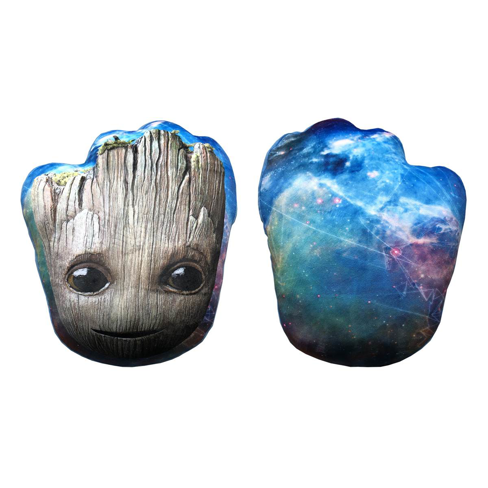 Coussin Groot