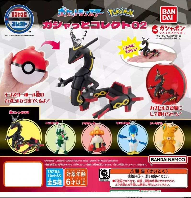 POKEMON - GUASHATTO COLLECTION