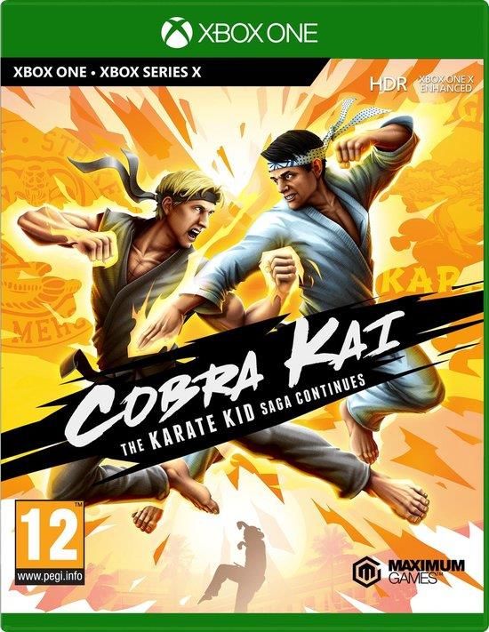 Cobra Kai The Karate Kid Saga Continues