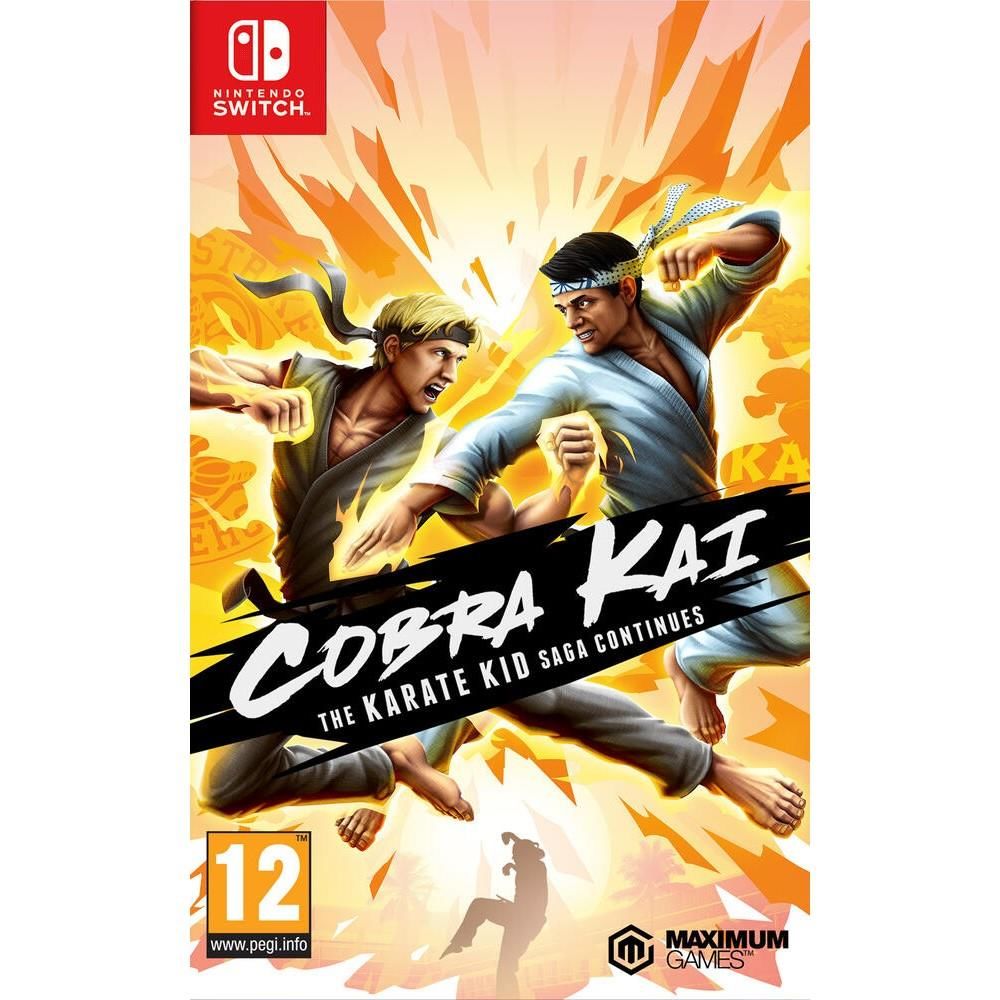 Cobra Kai The Karate Kid Saga Continues