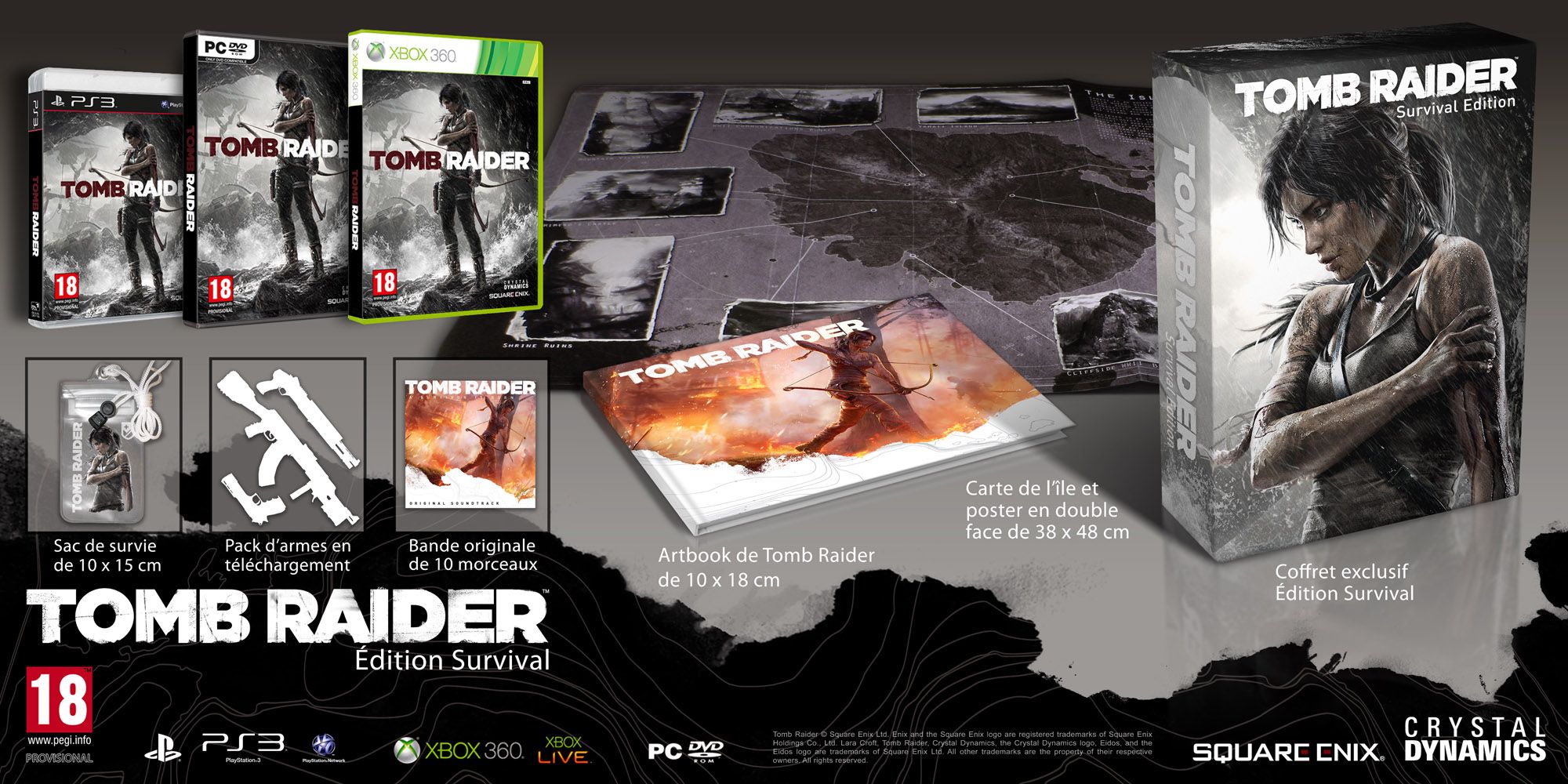 Tomb Raider Survival Edition (2013)