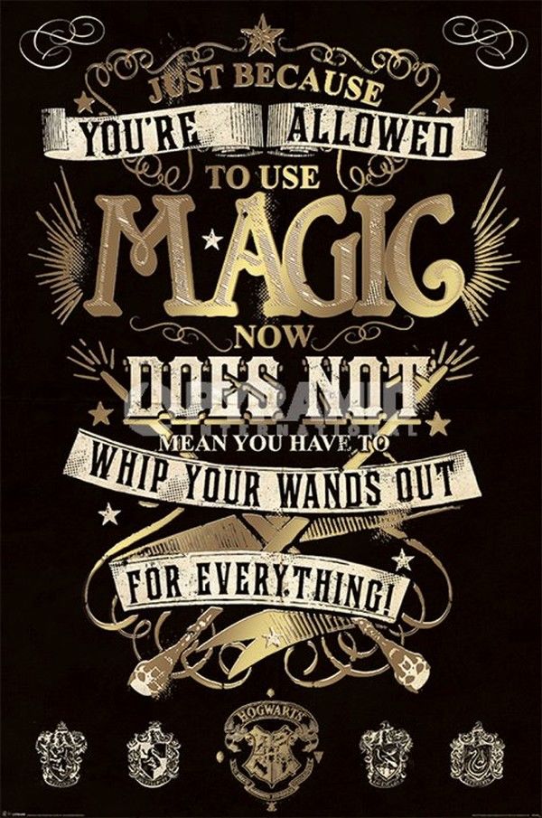 Harry Potter - Magic Maxi Poster