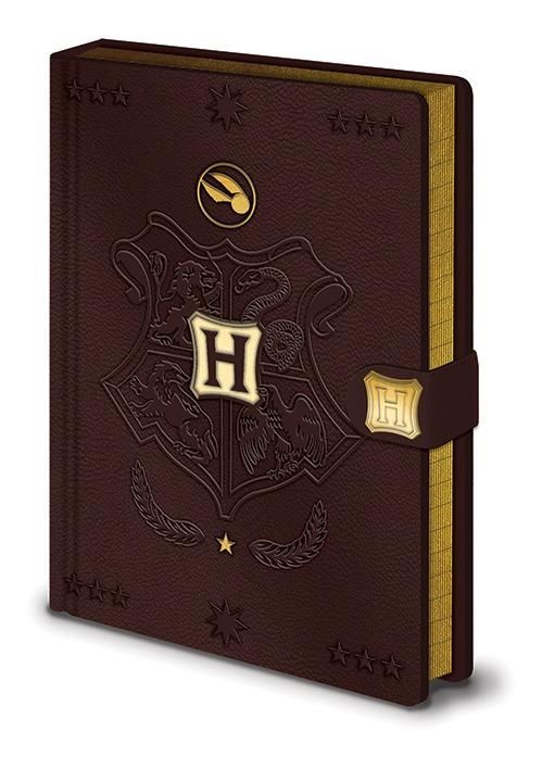 Harry Potter - Quidditch Cahier Premium A5