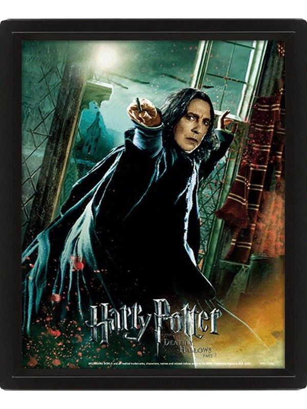 Harry Potter (Reliques de la Mort Rogue) - Encadré