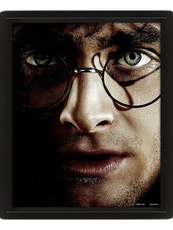 Harry Potter (Harry contre Voldemort) - Encadré
