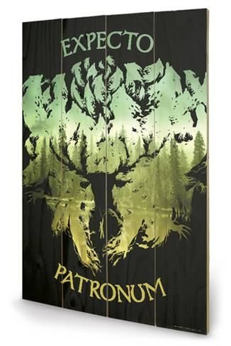 Harry Potter - Expecto Patronum Wood Print