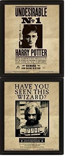 Harry Potter Potter Sirius Cadre lenticulaire 3D 28,7 x 23,5cm