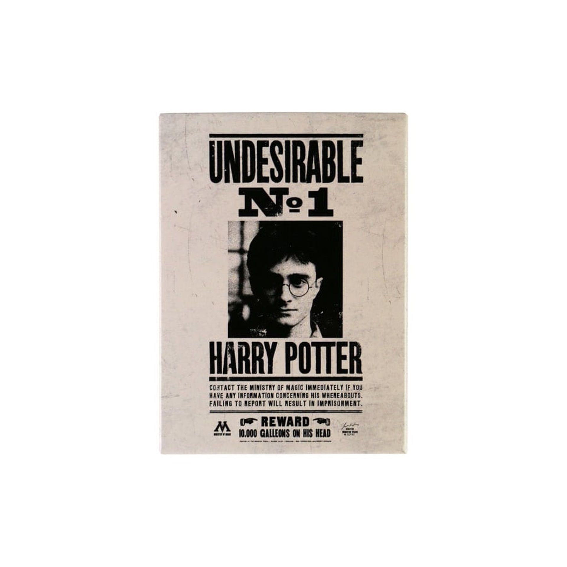 Harry Potter - magney Undesirable No1