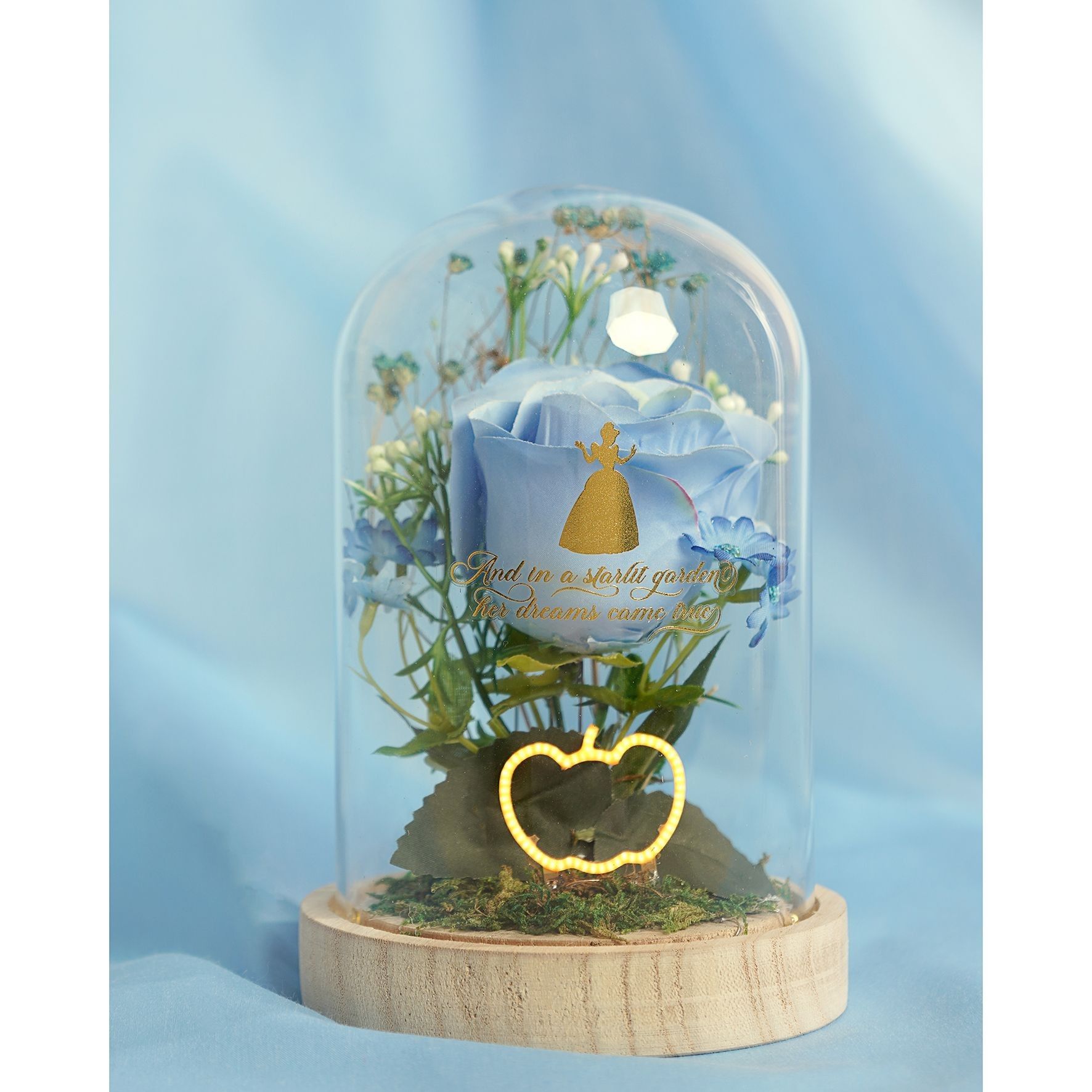 Princesse Pastel Florals dans une Cloche avec Lumière Néon - Cendrillon