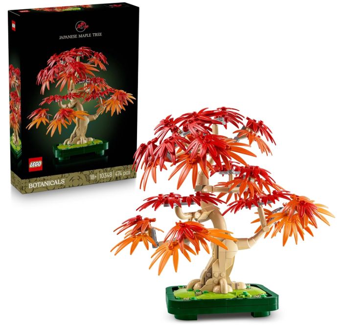 LEGO Botanicals Bonsaï d’Érable Rouge du Japon