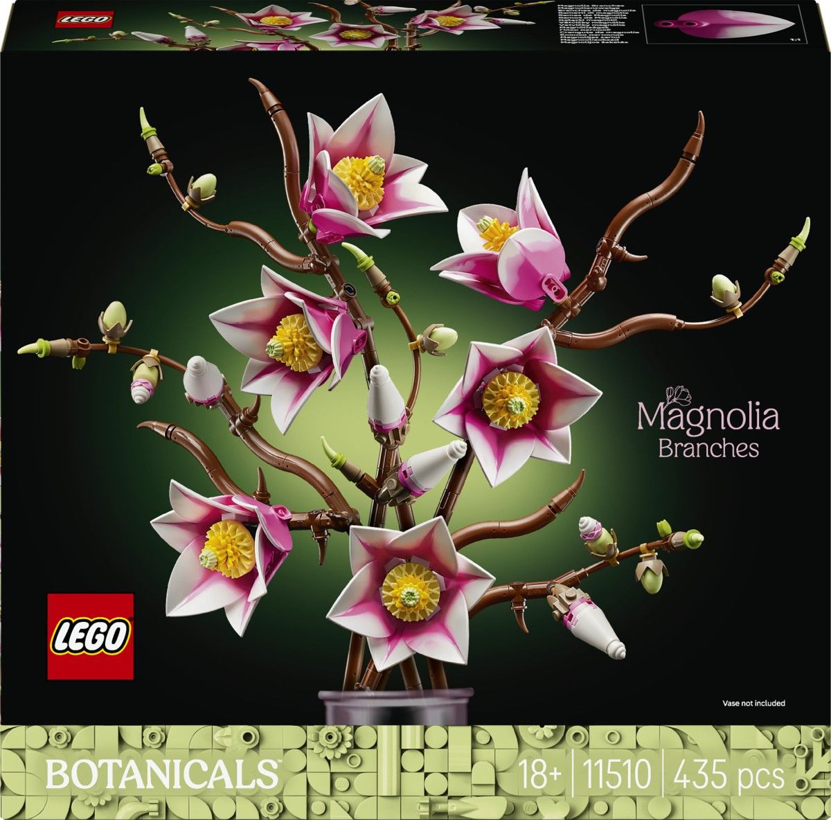Branches de Magnolia