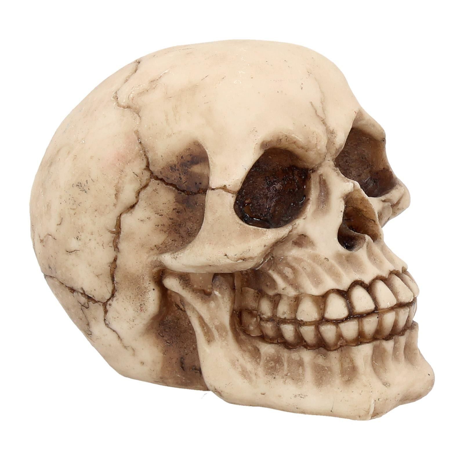 Joker Skull 12cm