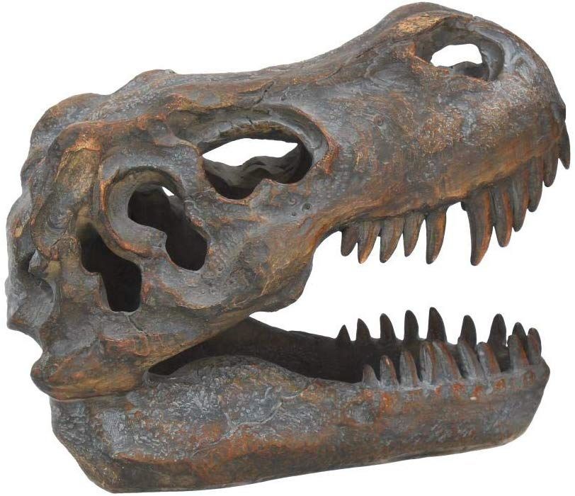 Tyrannosaurus Rex Skull Freestanding 16cm