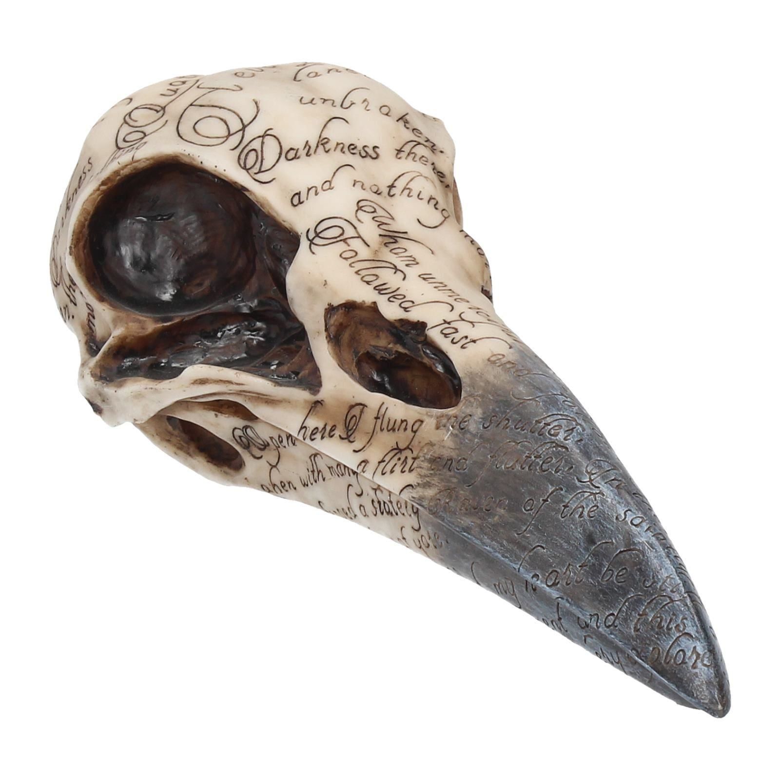 Edgar\'s Raven Skull 21cm