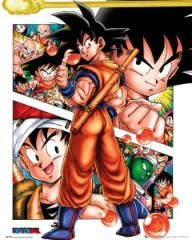 Dragon Ball Z - Mini Poster Collage