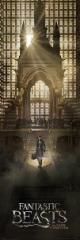 Fantastic Beasts - Poster de porte Newt Scamander Arrival