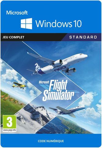 Microsoft Flight Simulator