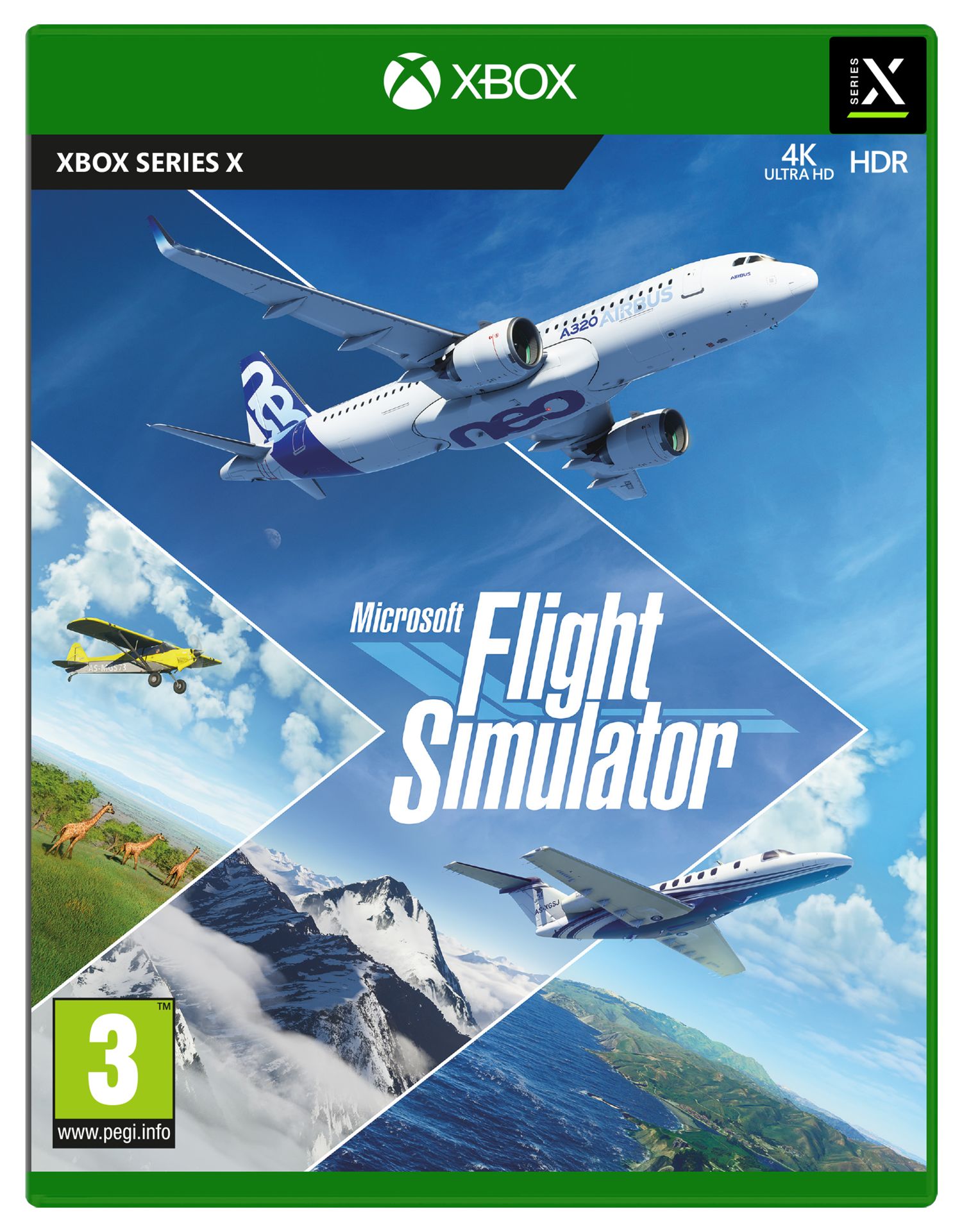 Microsoft Flight Simulator