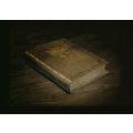 Guide officiel Final Fantasy 12 Limited edition - Guide soluce