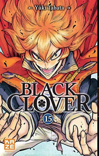 BLACK CLOVER T15 Broché | Indigo Chapters