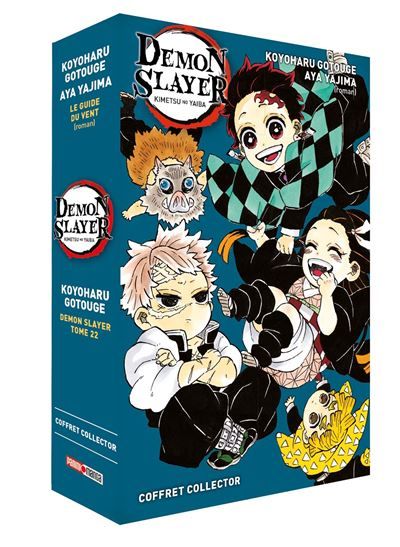 Coffret Demon Slayer Tome 22 + Roman Tome 3 by Koyoharu Gotouge Paperback | Indigo Chapters