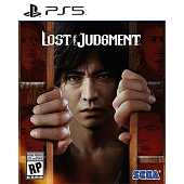 LOST JUDGMENT