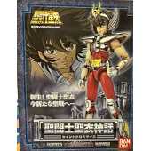 Figurine articulée avec armure Saint Seiya Seiya du Capricorne