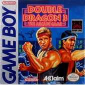 Double Dragon 3 : The Sacred Stones
