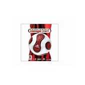 Championship manager - L'entraineur 2007