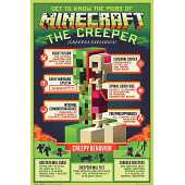 Minecraft Creepy Behaviour - Maxi Poster
