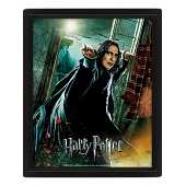 Harry Potter (Reliques de la Mort Rogue) - Encadré