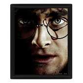 Harry Potter (Harry contre Voldemort) - Encadré
