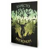 Harry Potter - Expecto Patronum Wood Print