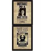 Harry Potter Potter Sirius Cadre lenticulaire 3D 28,7 x 23,5cm