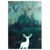 Smartoys Custom - Harry Potter Poster #4