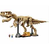 LEGO : Les fossiles de dinosaures : le Tyrannosaurus rex