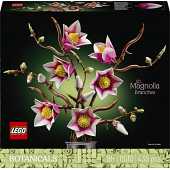 Branches de Magnolia