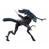 NECA - Aliens - Reine Xénomorphe Ultra Deluxe Figurine d'Action Boxée