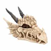 Dragon Skull Box 20cm