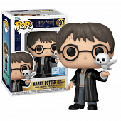 POP! Harry Potter Season 20 - Harry avec Hedwig