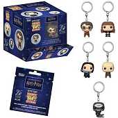 Funko POP! Porte-clés : Harry Potter Mystère 25e Anniversaire