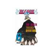 Bleach - Vol. 06